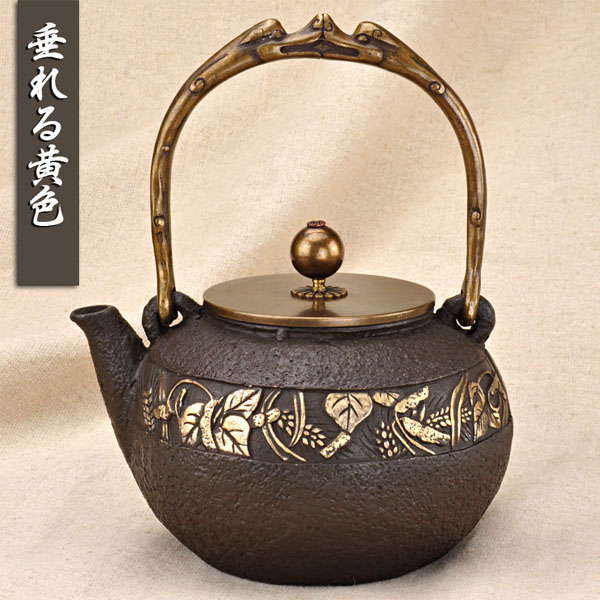 5Cgo  43233217511 功夫茶具南部生鐵器鑄鐵茶壺無塗層老鐵壺加熱壺電磁爐煤氣壺煮茶壺  LAY85110