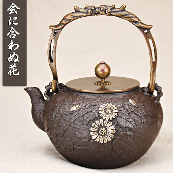 5Cgo  43233217511 功夫茶具南部生鐵器鑄鐵茶壺無塗層老鐵壺加熱壺電磁爐煤氣壺煮茶壺  LAY85110
