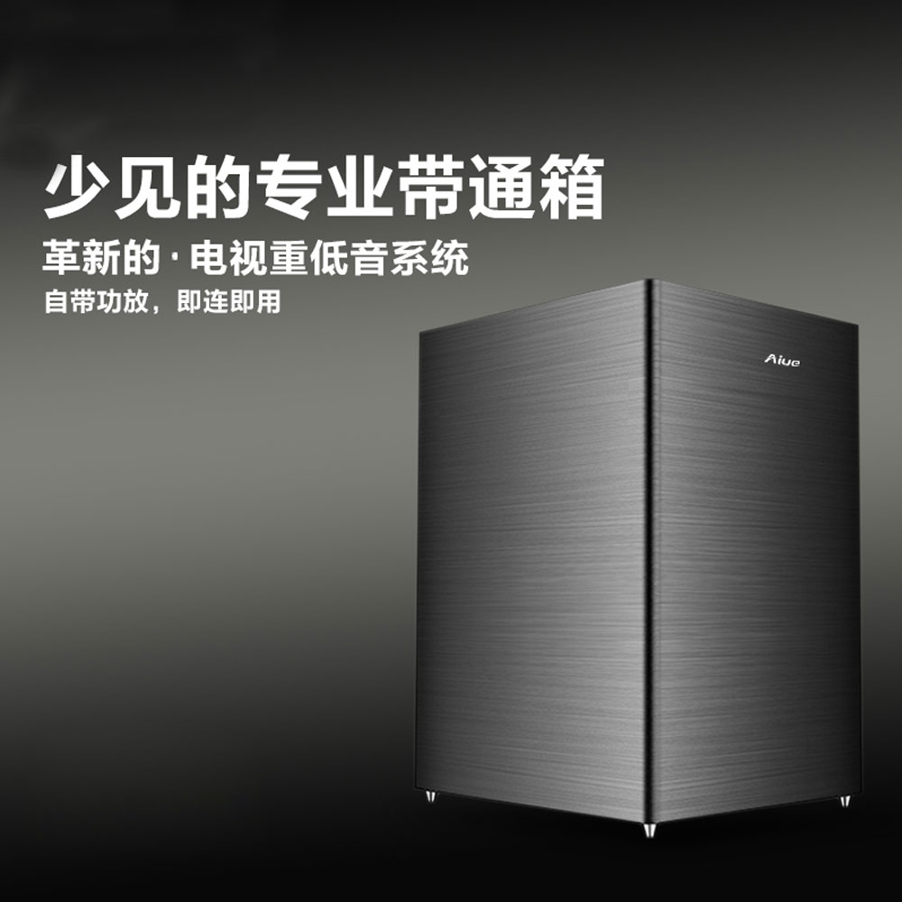 5Cgo 44990728638 Aiue S-300 愛樂回音壁專配6.5寸喇叭自帶功放帶通箱有源低音炮 PY99300