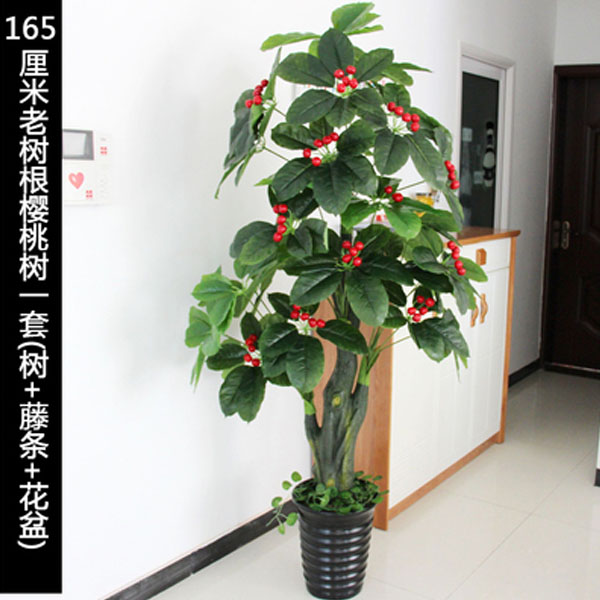 5Cgo 520056756366 客廳走廊過道玄關仿真綠植假樹櫻桃果樹仿真植物盆栽落地假花辦公室內大型植物商場大堂綠色植株裝飾擺件設計 CHX85100