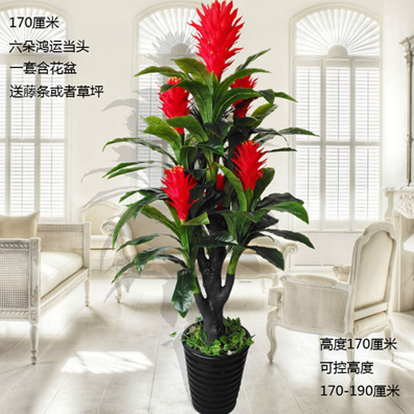 5Cgo 548215010062 客廳玄關仿真植物發財樹大型盆栽假樹假花落地擺件裝飾花1.7米鴻運當頭辦公室商場大堂擺設設計 CHX00